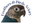 Welcome to Feathers & Birds Aviary logo